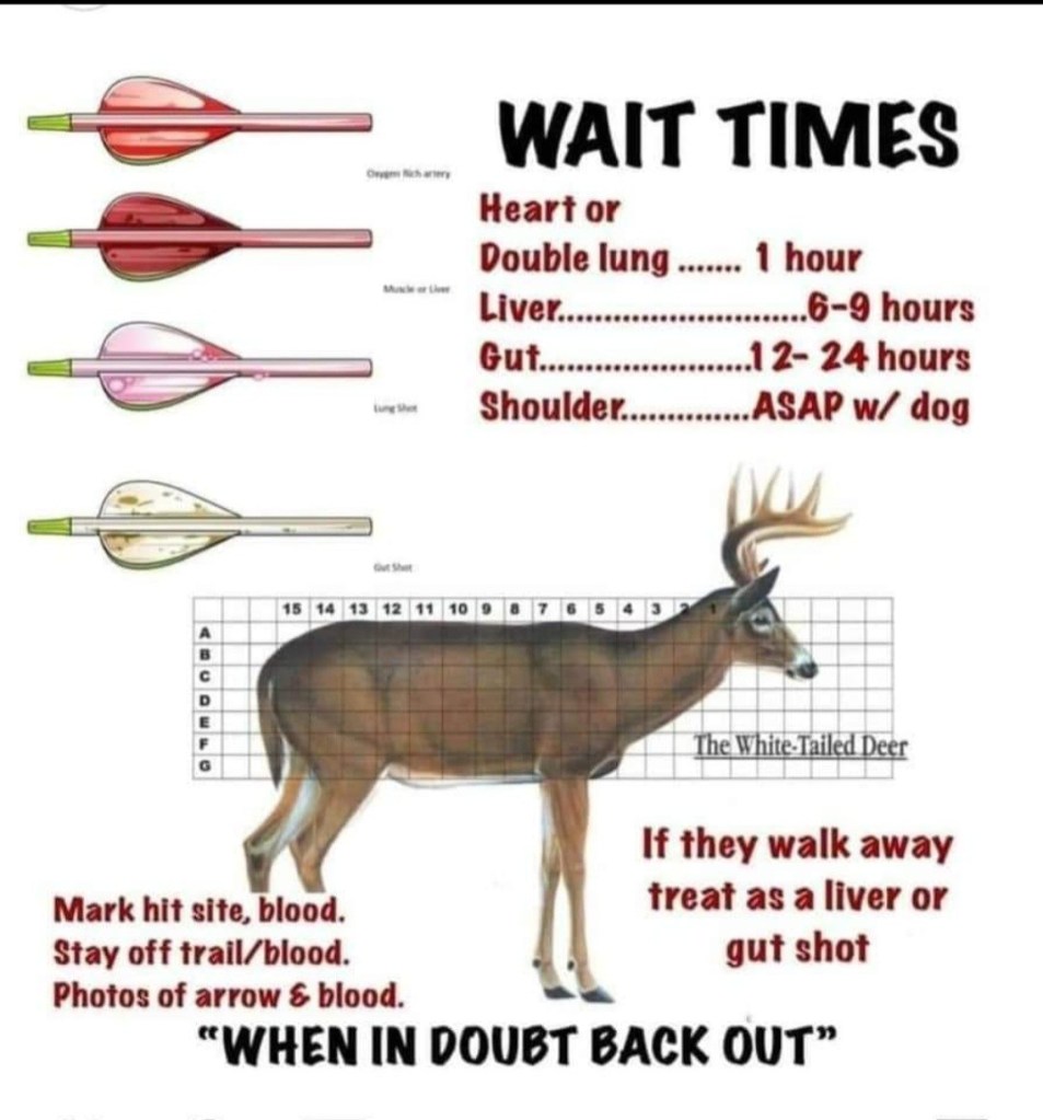 Wait times before tracking a deer to reduce the risk of "Bumping" the deer